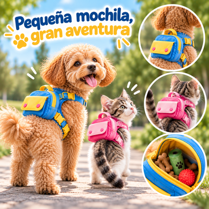 Pequeña mochila, gran aventura — PawPaseo